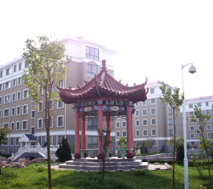 小区实景10