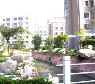 小区实景11