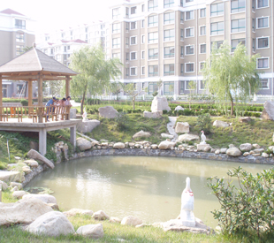 小区实景8